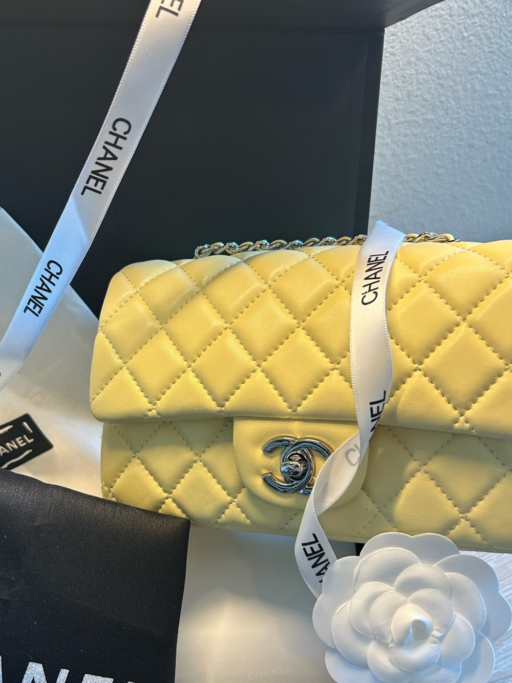 Mini Flap in Light Yellow Lambskin - Picture 2 of 8
